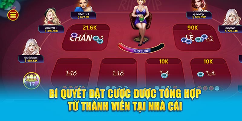 Xóc Đĩa Hi88 – Tham Gia Tựa Game Nhận Phần Thưởng Lớn - hình ảnh - zwucfrskj.top