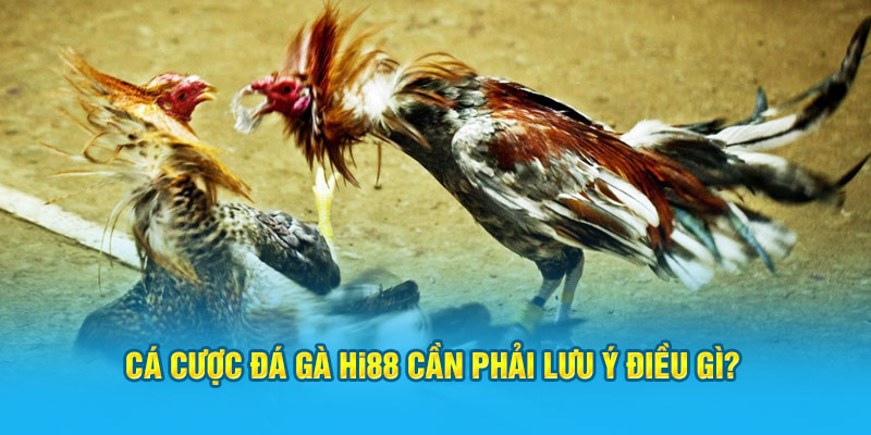 Đá Gà Hi88 - Sảnh Cược Trực Tuyến Top 1 Việt Nam - Hi88 - hình ảnh - zwucfrskj.top Đá Gà Hi88 - Sảnh Cược Trực Tuyến Top 1 Việt Nam - Hi88 - hình ảnh - zwucfrskj.top