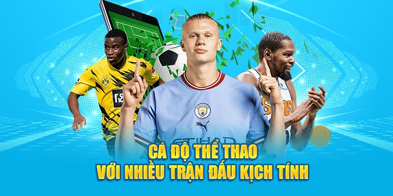 Tổng Hợp Những Thông Tin Giới Thiệu Về Hi88 Cho Người Mới - hình ảnh - zwucfrskj.top Tổng Hợp Những Thông Tin Giới Thiệu Về Hi88 Cho Người Mới - hình ảnh - zwucfrskj.top