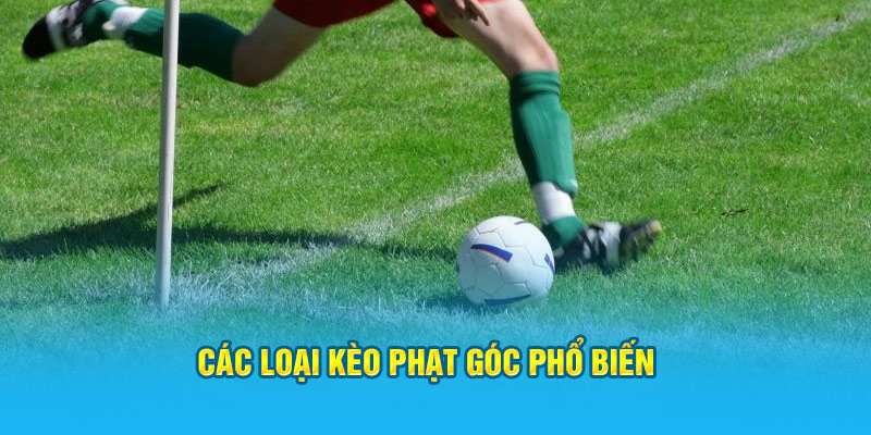 Kèo Phạt Góc – Bí Quyết Soi Kèo Phạt Góc Hi88 Hiệu Quả, Thắng Lớn - hình ảnh - zwucfrskj.top