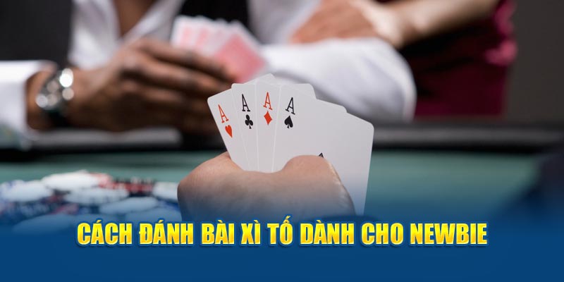 Bài Xì Tố Hướng Dẫn Cách Chơi Và Bí Kíp Bất Bại Cho Newbie - hình ảnh - zwucfrskj.top