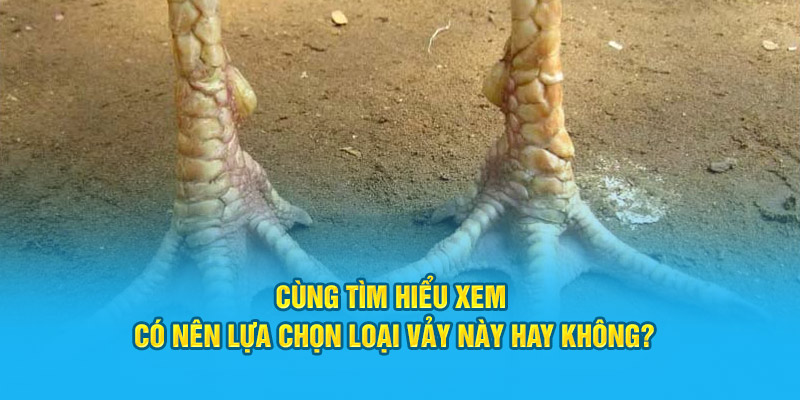 Đặc Điểm Cơ Bản Của Vảy Gà Tứ Hoành Khai Tại Trang Web HI88 - hình ảnh - zwucfrskj.top Đặc Điểm Cơ Bản Của Vảy Gà Tứ Hoành Khai Tại Trang Web HI88 - hình ảnh - zwucfrskj.top