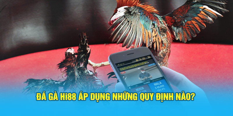 Đá Gà Hi88 - Sảnh Cược Trực Tuyến Top 1 Việt Nam - Hi88 - hình ảnh - zwucfrskj.top Đá Gà Hi88 - Sảnh Cược Trực Tuyến Top 1 Việt Nam - Hi88 - hình ảnh - zwucfrskj.top