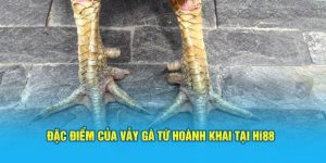 Đá Gà Hi88 - Sảnh Cược Trực Tuyến Top 1 Việt Nam - Hi88 - hình ảnh - zwucfrskj.top