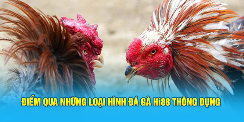 Đá Gà Hi88 - Sảnh Cược Trực Tuyến Top 1 Việt Nam - Hi88 - hình ảnh - zwucfrskj.top Đá Gà Hi88 - Sảnh Cược Trực Tuyến Top 1 Việt Nam - Hi88 - hình ảnh - zwucfrskj.top