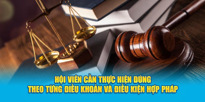 Điều khoản và điều kiện HI88 – Đảm bảo lợi ích cho hội viên - hình ảnh - zwucfrskj.top Điều khoản và điều kiện HI88 – Đảm bảo lợi ích cho hội viên - hình ảnh - zwucfrskj.top