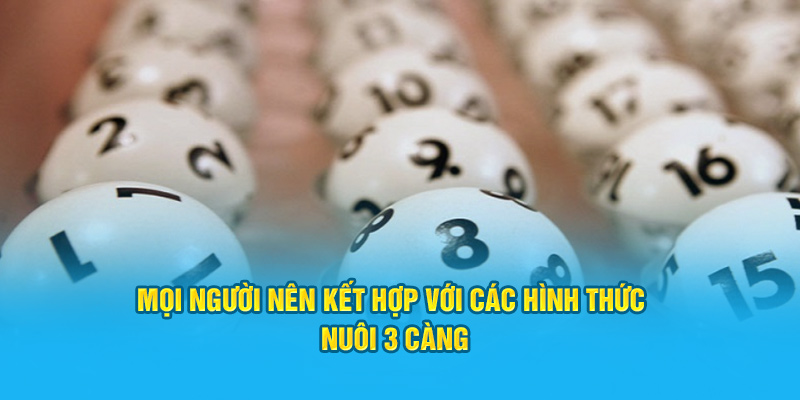 Khám Phá Thông Tin Về Đề 3 Càng Cho Thành Viên Hi88 - hình ảnh - zwucfrskj.top
