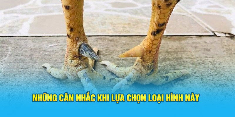 Đặc Điểm Cơ Bản Của Vảy Gà Tứ Hoành Khai Tại Trang Web HI88 - hình ảnh - zwucfrskj.top Đặc Điểm Cơ Bản Của Vảy Gà Tứ Hoành Khai Tại Trang Web HI88 - hình ảnh - zwucfrskj.top