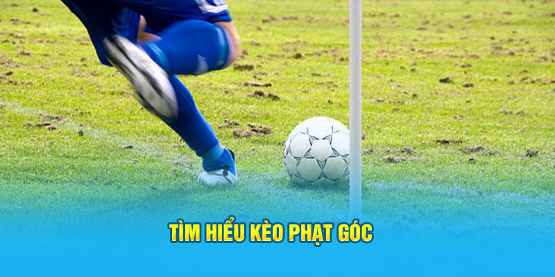 Kèo Phạt Góc – Bí Quyết Soi Kèo Phạt Góc Hi88 Hiệu Quả, Thắng Lớn - hình ảnh - zwucfrskj.top
