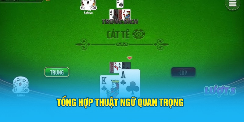 Hướng Dẫn Cách Chơi Bài Cát Tê Tại HI88 Dành Cho Tân Thủ - hình ảnh - zwucfrskj.top