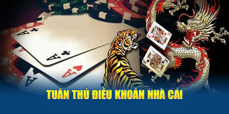 Rồng Hổ Cùng Những Kinh Nghiệm Chiến Thắng Tại HI88 - hình ảnh - zwucfrskj.top