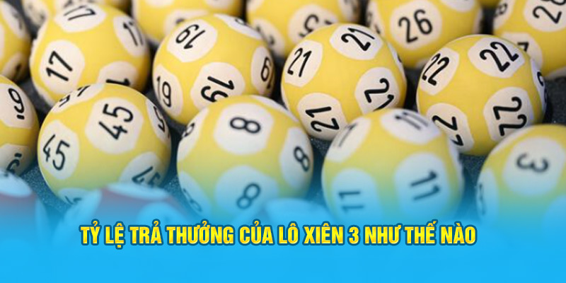 Hướng Dẫn Cách Đánh Lô Xiên 3 Ăn Bao Nhiêu Tại Hi88 - hình ảnh - zwucfrskj.top Hướng Dẫn Cách Đánh Lô Xiên 3 Ăn Bao Nhiêu Tại Hi88 - hình ảnh - zwucfrskj.top