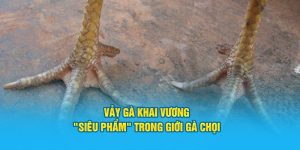 Đá Gà Hi88 - Sảnh Cược Trực Tuyến Top 1 Việt Nam - Hi88 - hình ảnh - zwucfrskj.top